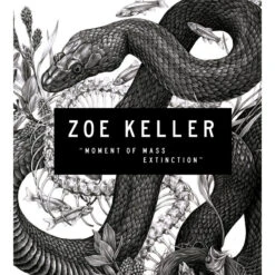 Performance Bamboo Fish 37" ARBOR Longboard -Magasin De Skate De Qualité performance bamboo fich 37 arbor longboard 5