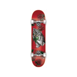 Skate Complet Divine 8.25" DGK Skateboard