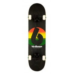 Sunset Rasta 7.75" Birdhouse Complete